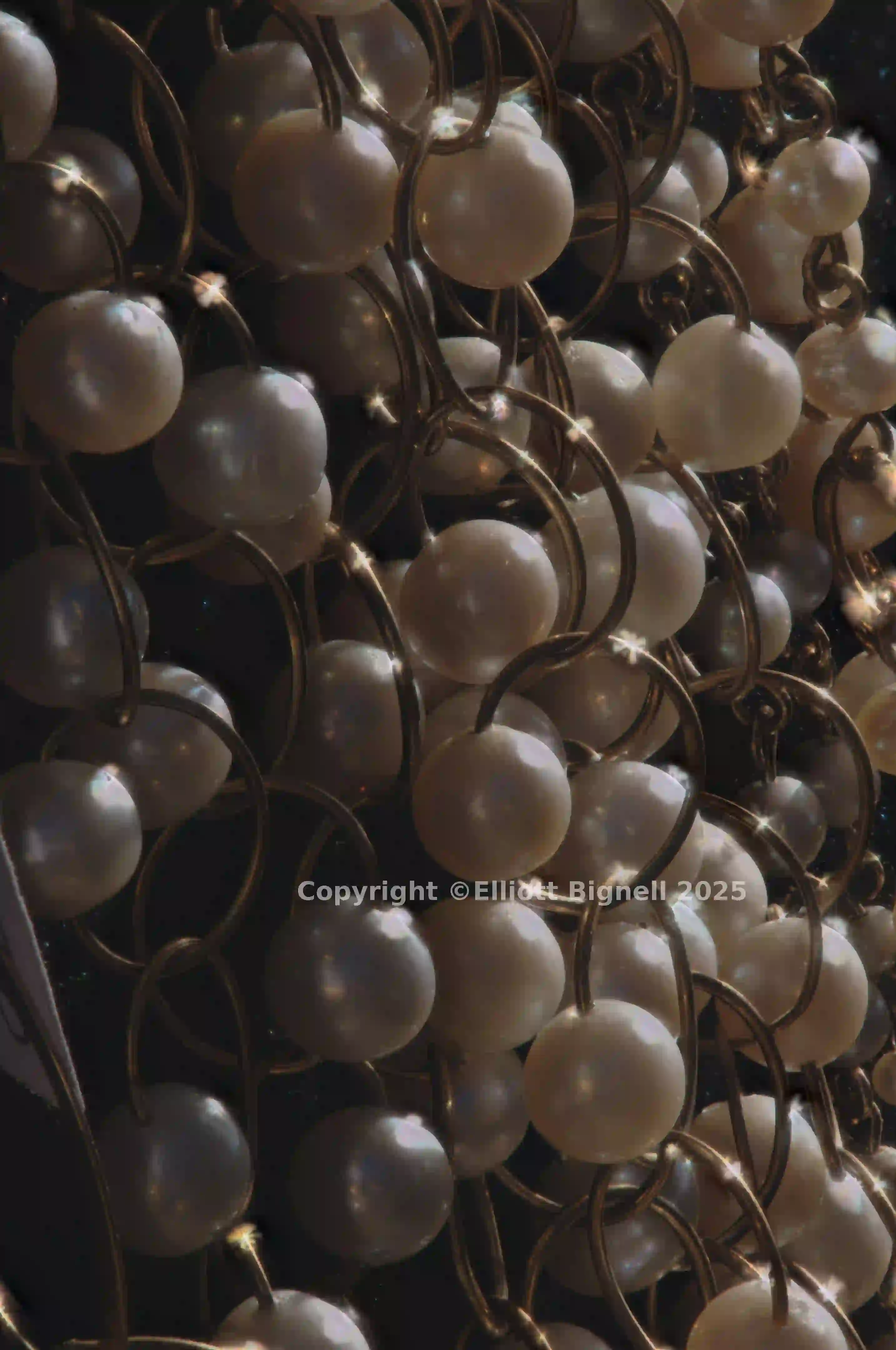 2013-11-12-22.11.27 ZS PMax.jpg